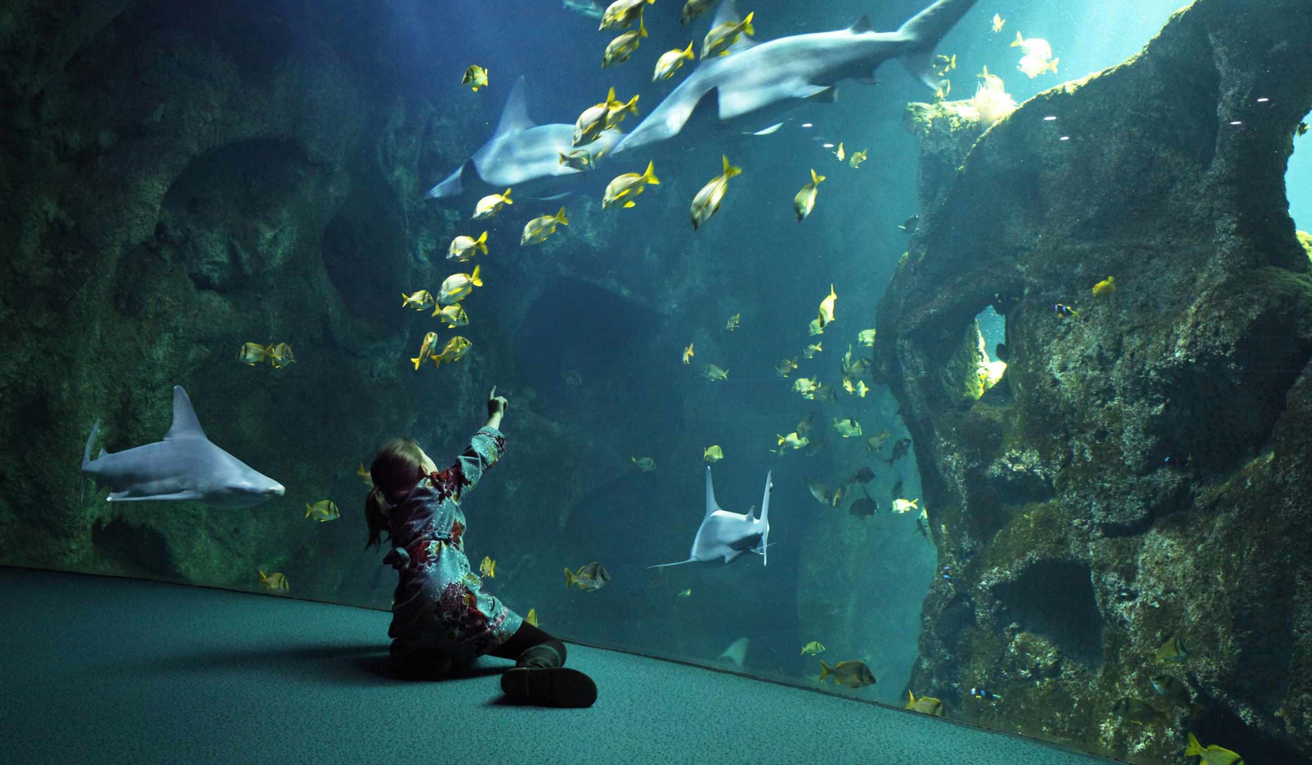 Missions pédagogiques - Aquarium La Rochelle